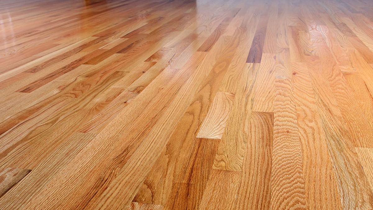 Professional floor and carpet cleaning service