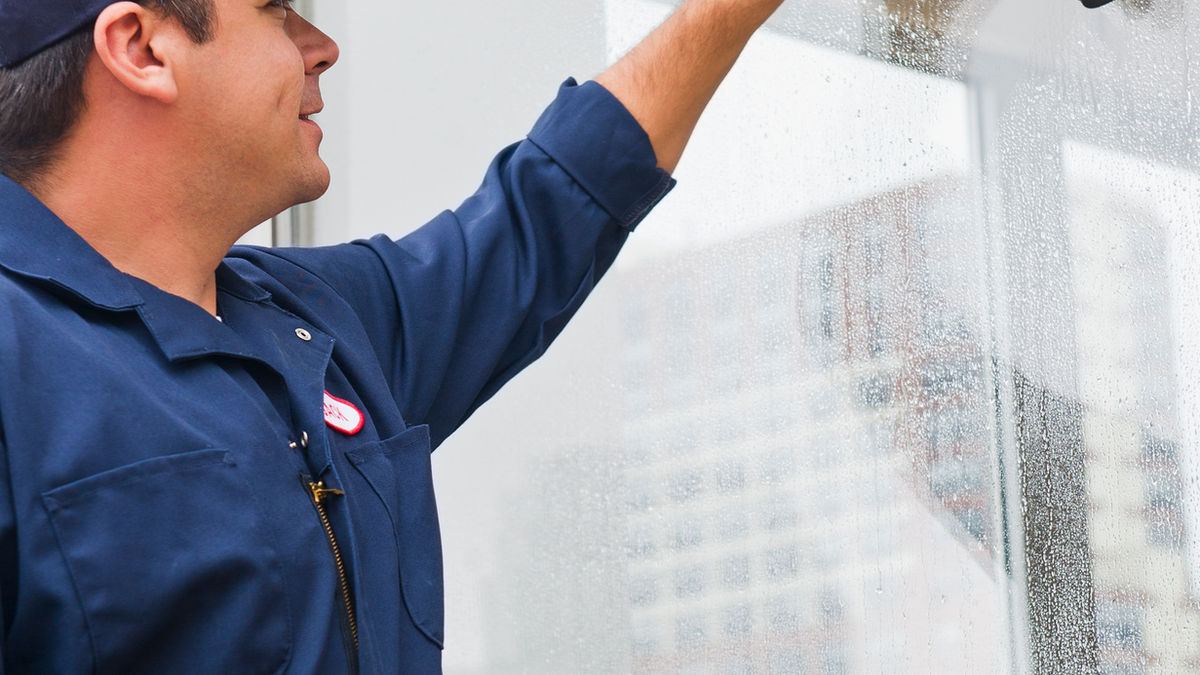 Professional window washing service